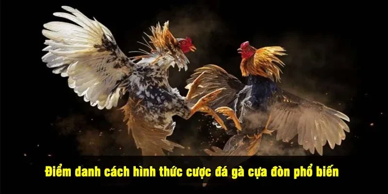 Điểm danh cách hình thức cược đá gà cựa đòn phổ biến